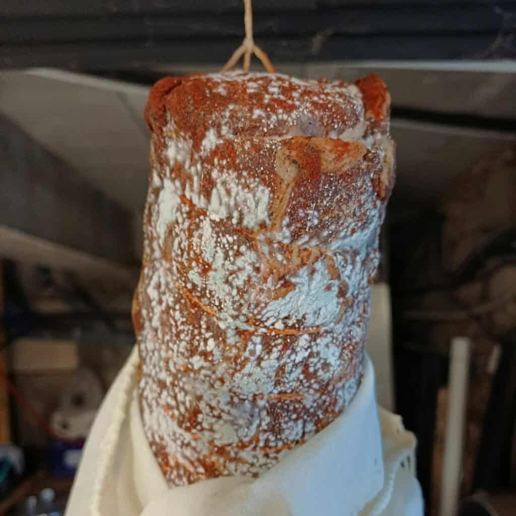 Moisissure sur viande séchée légèrement verte. pas de problème